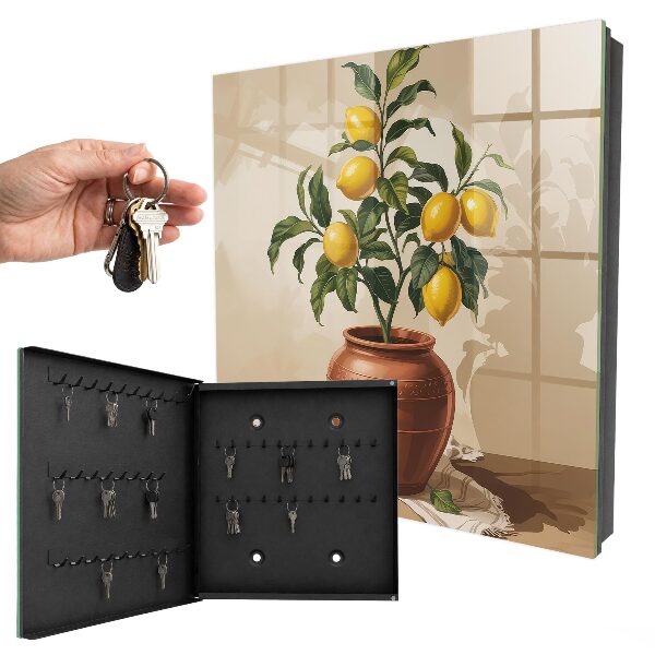 Key box Lemon tree