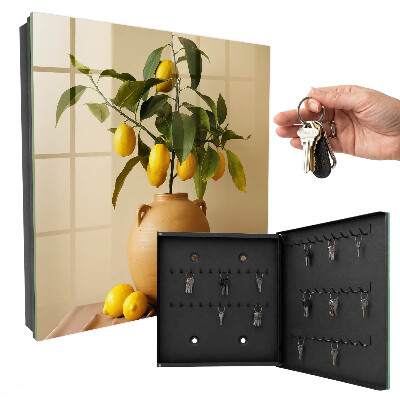 Key storage box Lemons in a jug