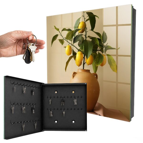 Key storage box Lemons in a jug