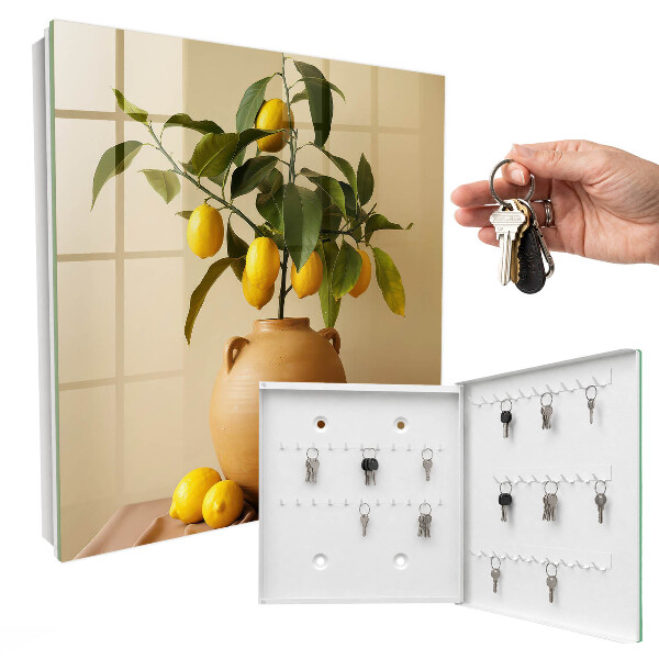 Key storage box Lemons in a jug
