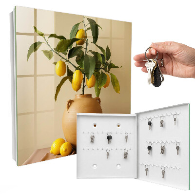 Key storage box Lemons in a jug