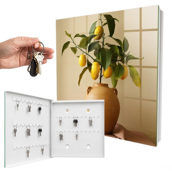 Key storage box Lemons in a jug