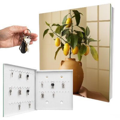 Key storage box Lemons in a jug