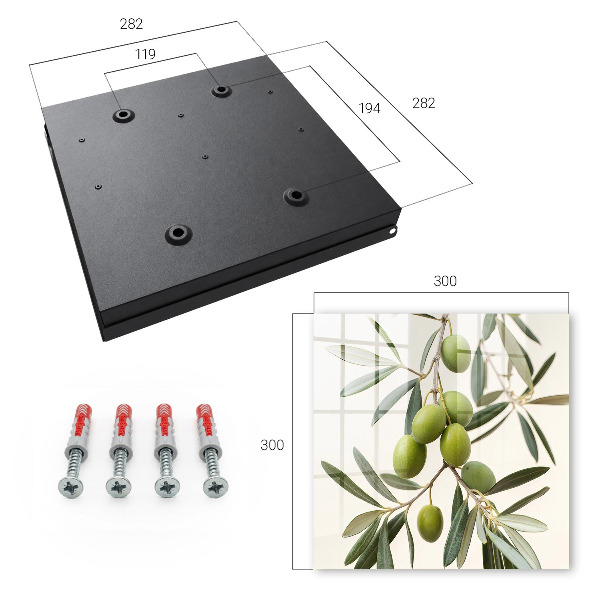 Key box A branch with olives