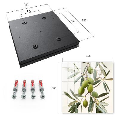 Key box A branch with olives
