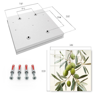 Key box A branch with olives