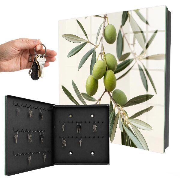 Key box A branch with olives