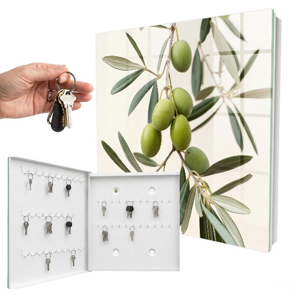Key box A branch with olives
