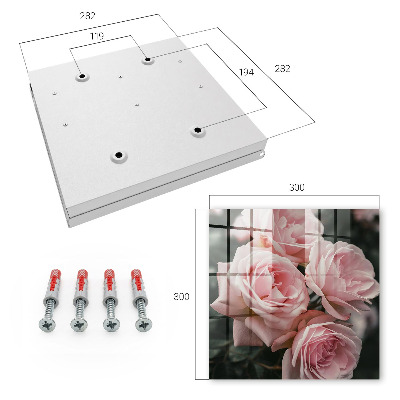 Key cabinet for wall Pink roses
