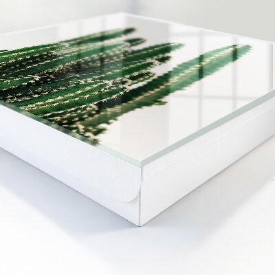 Key storage box Green cacti