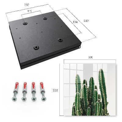 Key storage box Green cacti