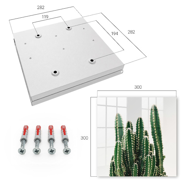 Key storage box Green cacti