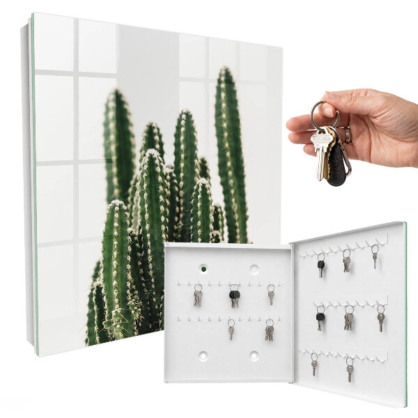 Key storage box Green cacti