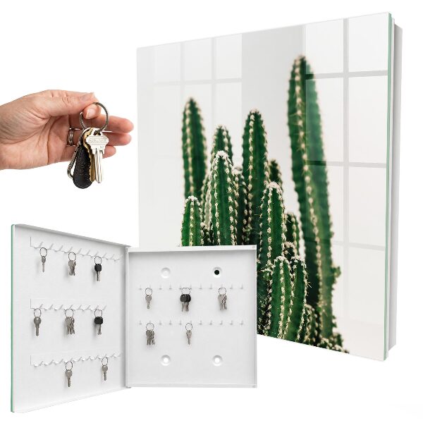 Key storage box Green cacti
