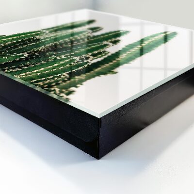 Key storage box Green cacti
