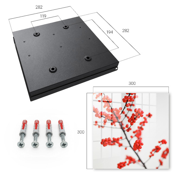 Key storage box Red berries