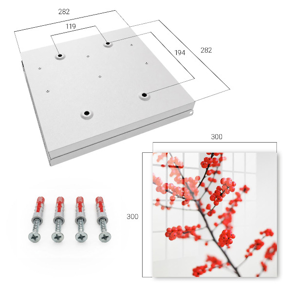 Key storage box Red berries