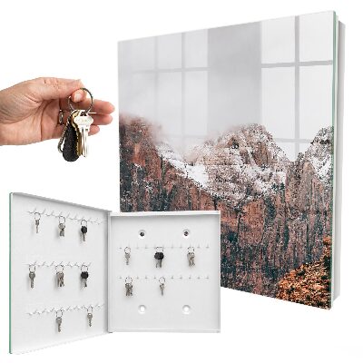 Key cabinet for wall Mountain silence