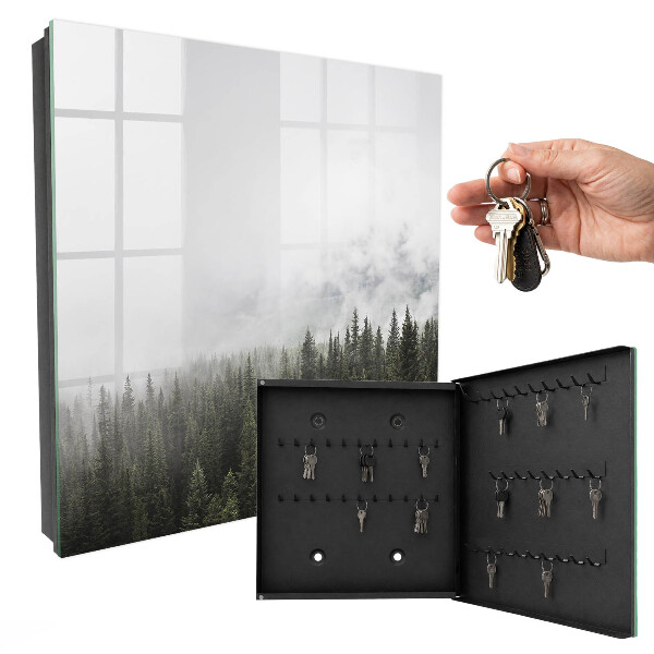 Key box Foggy pines