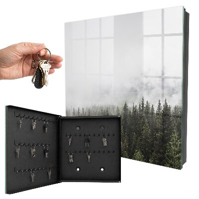 Key box Foggy pines