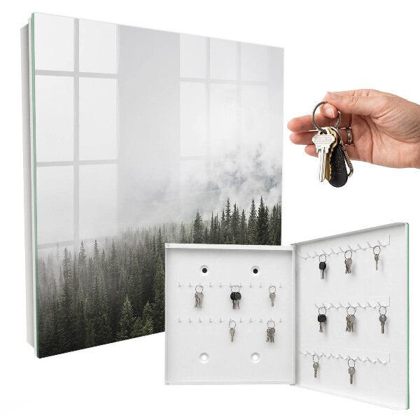 Key box Foggy pines