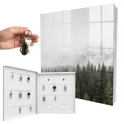 Key box Foggy pines