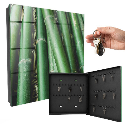 Key storage box Green room