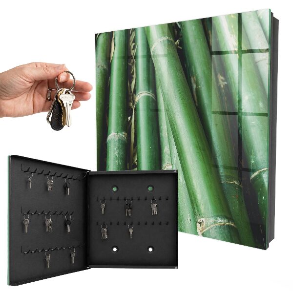Key storage box Green room