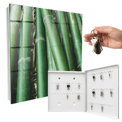 Key storage box Green room