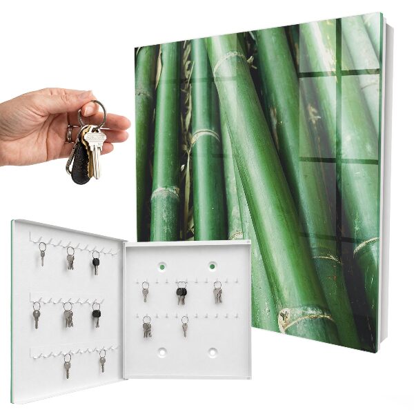 Key storage box Green room