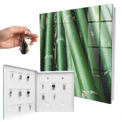 Key storage box Green room