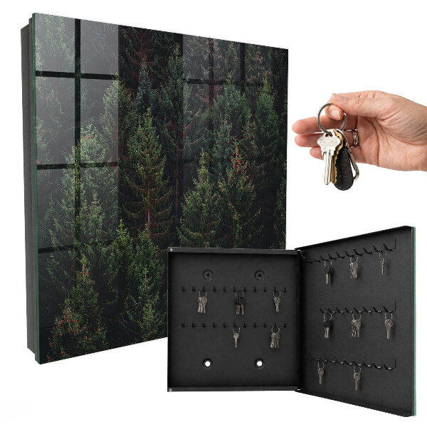 Key box Green forest