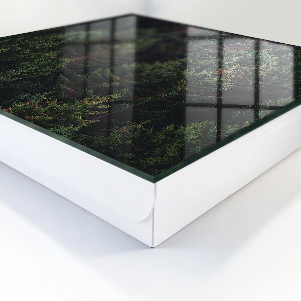 Key box Green forest