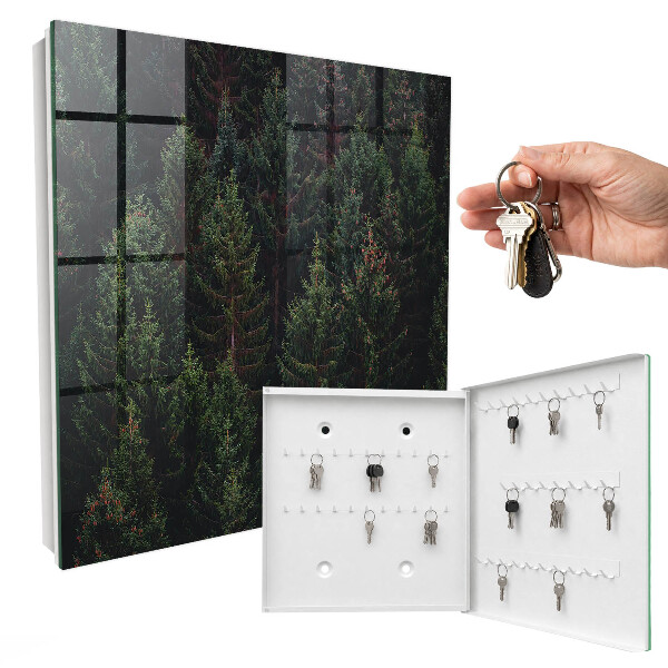 Key box Green forest