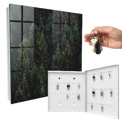 Key box Green forest