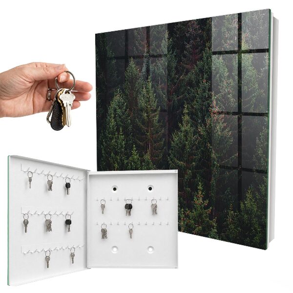 Key box Green forest