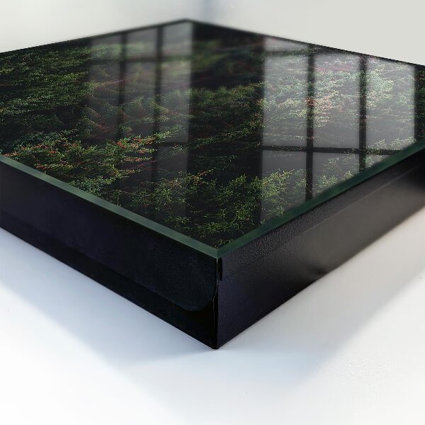 Key box Green forest