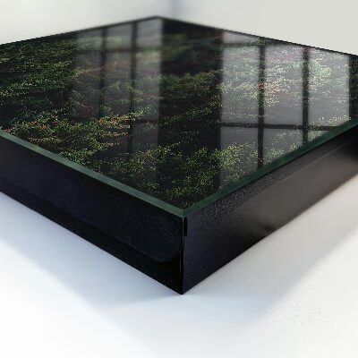Key box Green forest