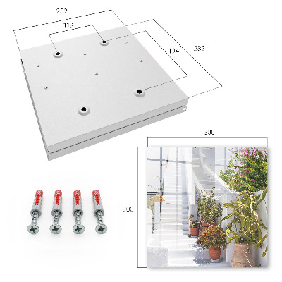 Key cabinet for wall Stairs with plants