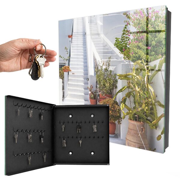 Key cabinet for wall Stairs with plants