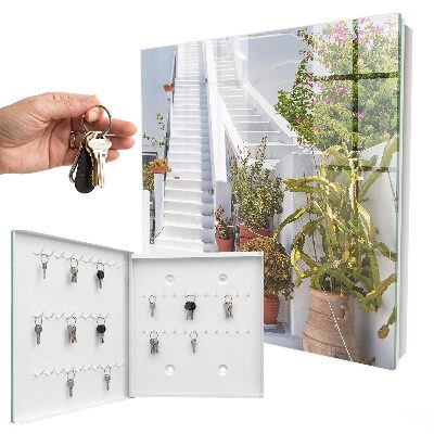 Key cabinet for wall Stairs with plants