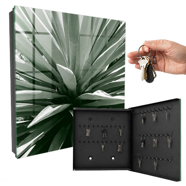Key cabinet for wall Agave