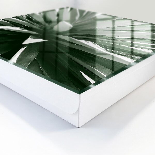 Key cabinet for wall Agave