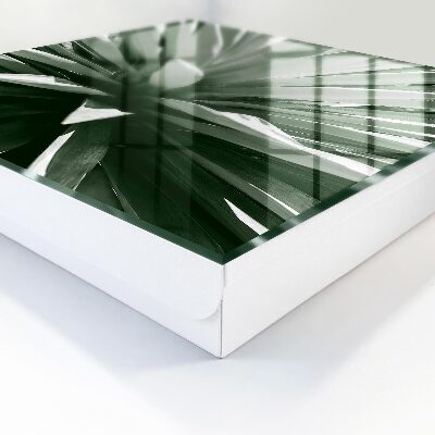 Key cabinet for wall Agave