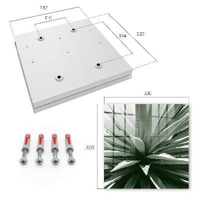 Key cabinet for wall Agave