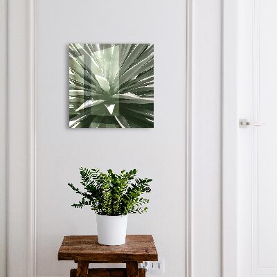 Key cabinet for wall Agave
