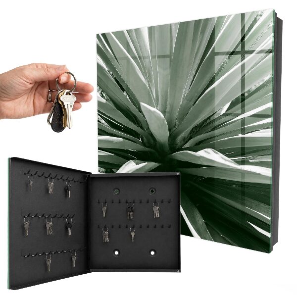 Key cabinet for wall Agave