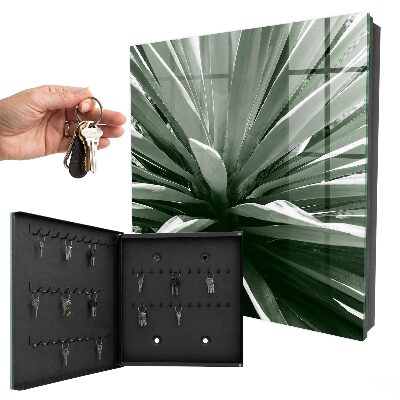 Key cabinet for wall Agave