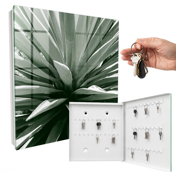 Key cabinet for wall Agave