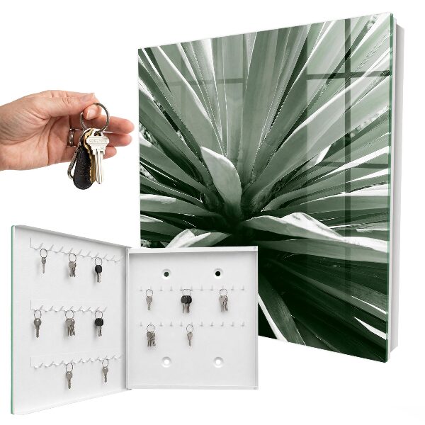 Key cabinet for wall Agave